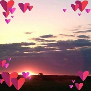 Meet your Posher, Teri